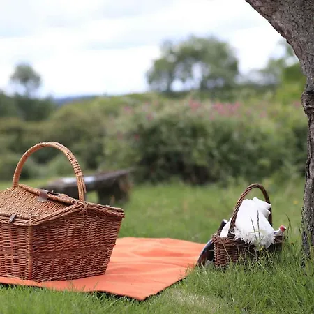 Hotel Domaine De Ronchinne - Insolites