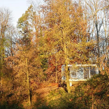 Domaine De Ronchinne - Insolites