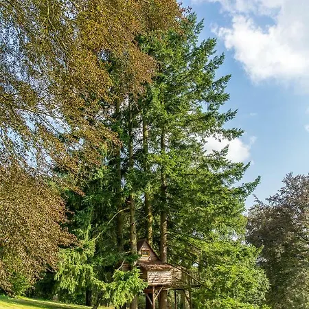 Domaine De Ronchinne - Insolites *