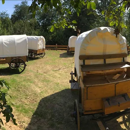 Domaine De Ronchinne - Insolites