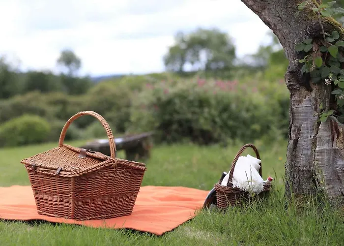 Hotel Domaine De Ronchinne - Insolites