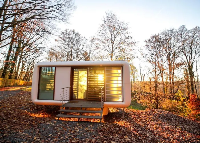 Domaine De Ronchinne - Insolites *