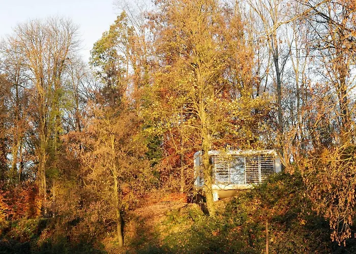 Domaine De Ronchinne - Insolites