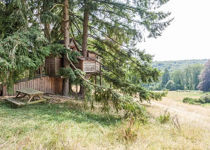 Domaine De Ronchinne - Insolites Maillen