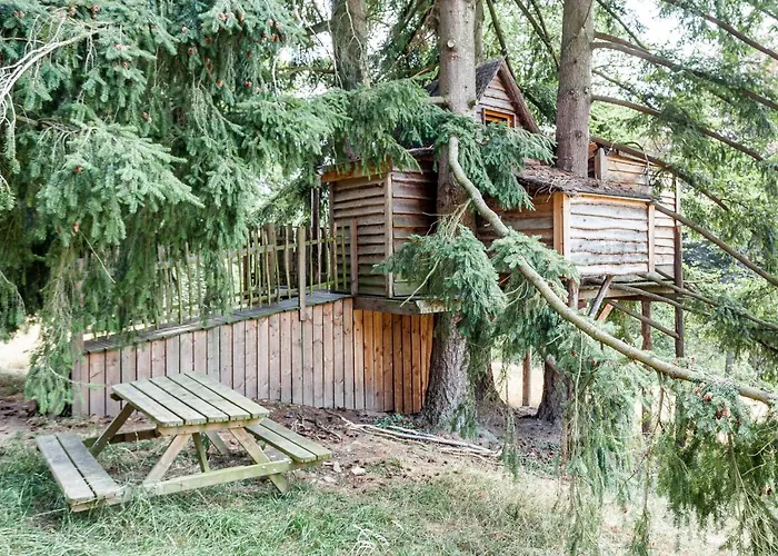 Domaine De Ronchinne - Insolites *